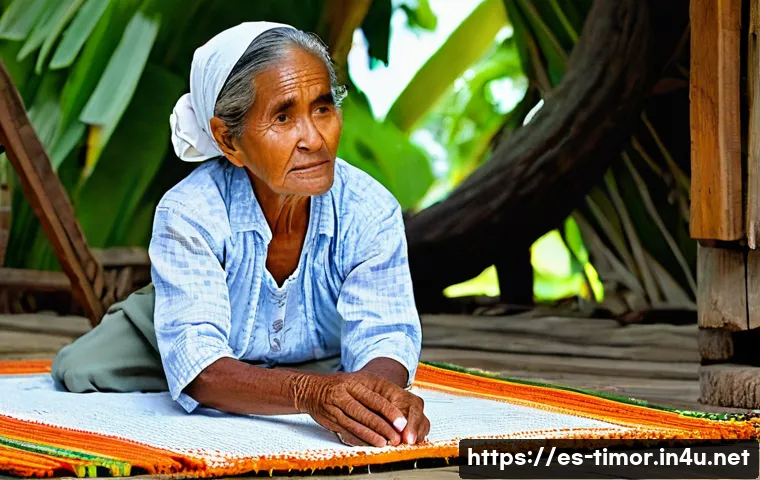 동티모르 유엔 가입 역사 관련 이미지 2